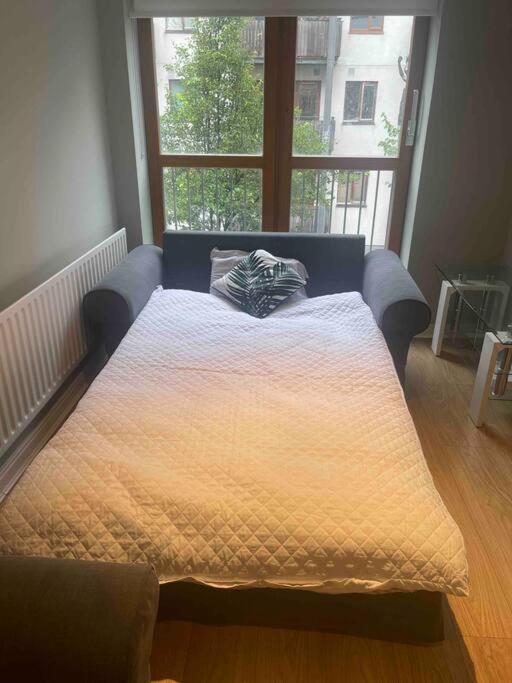 In Dublin'S Best Tourist Spot Temple Bar Fully Renovated Ngoại thất bức ảnh
